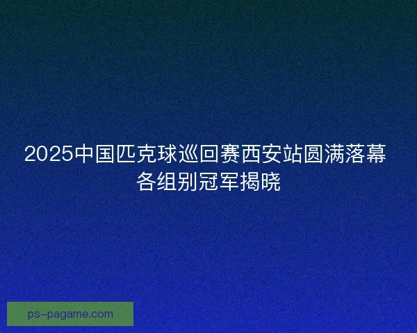 2025中国匹克球巡回赛西安站圆满落幕 各组别冠军揭晓