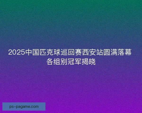 2025中国匹克球巡回赛西安站圆满落幕 各组别冠军揭晓