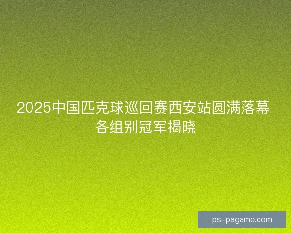 2025中国匹克球巡回赛西安站圆满落幕 各组别冠军揭晓